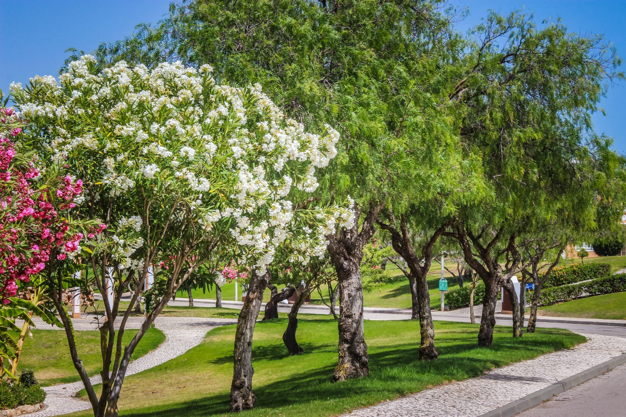 קארבואירו Colina Da Lapa & Villas מראה חיצוני תמונה